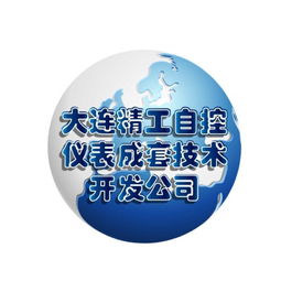 大连精工自控仪表成套技术开发公司的技术创新与发展