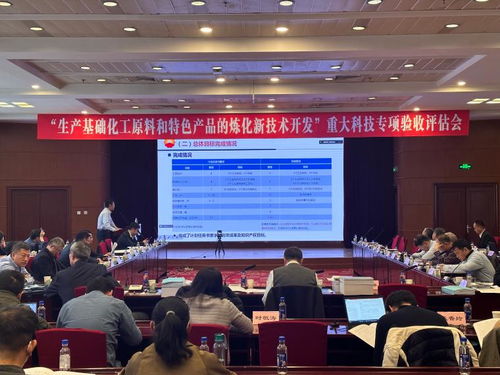 满足汽油新标准的关键技术开发与应用项目顺利通过验收